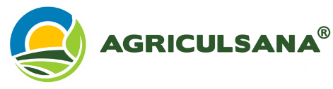 logo (2) logo (2)
